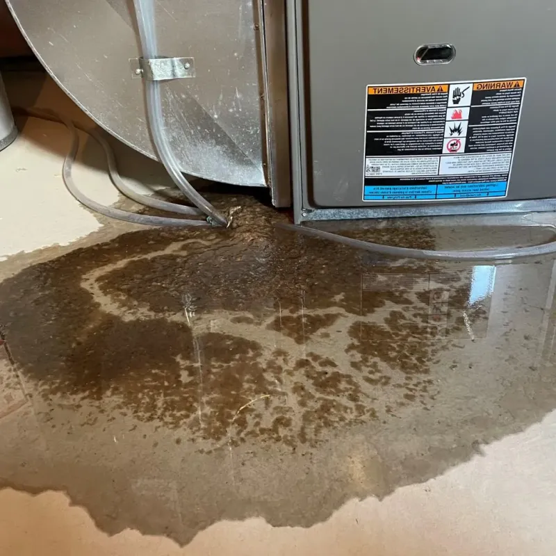 Pipe Burst and Leak Restoration in Hughesville, MD