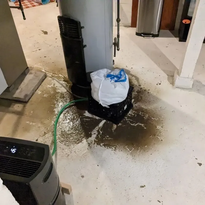 Sewage Backup Cleanup Service in Hughesville, MD